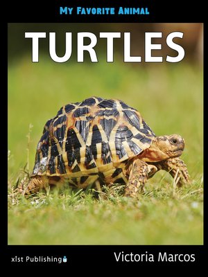 cover image of My Favorite Animal: Turtles